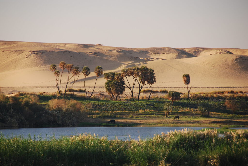 Río Nilo. Egipto