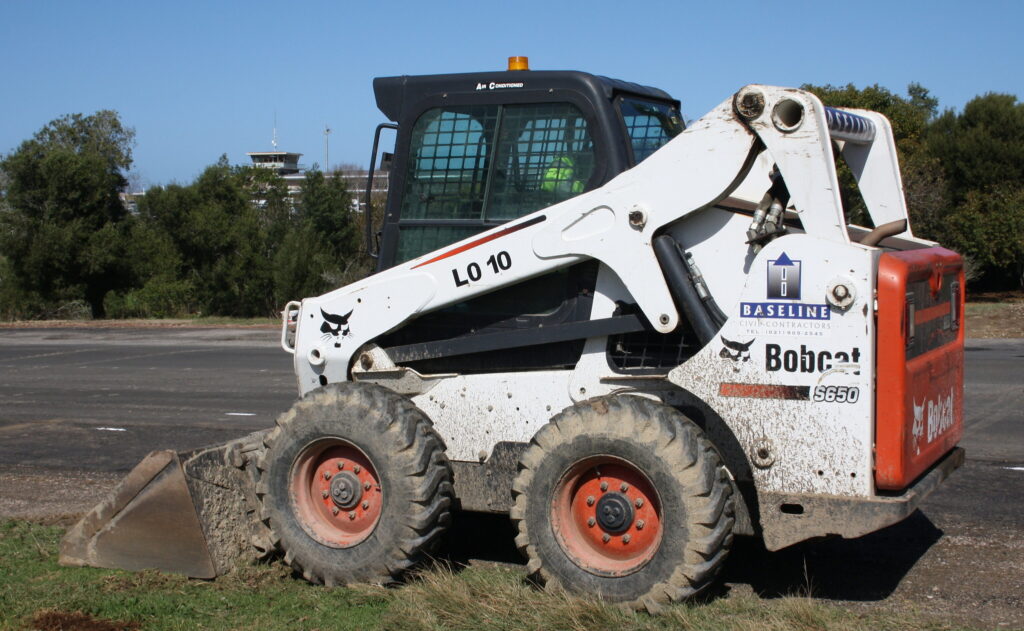 Bobcat