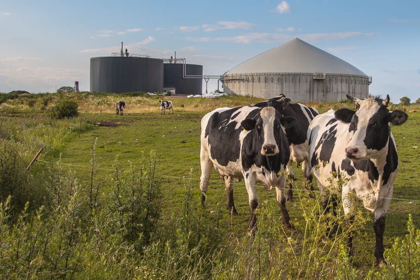 Explotación con biodigestores