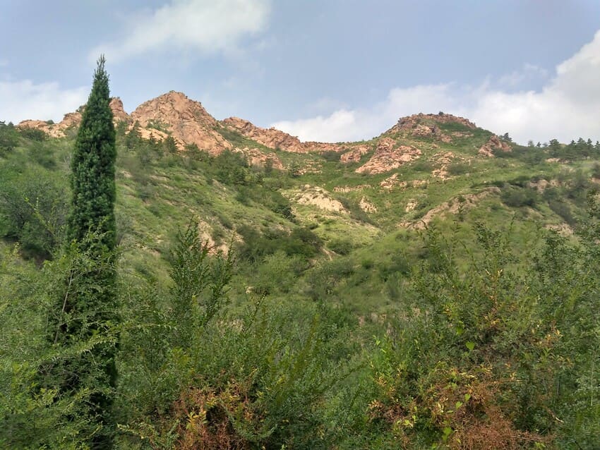 Saihanba