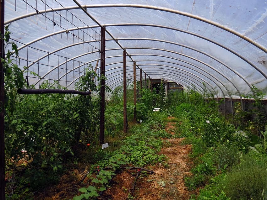 invernaderos