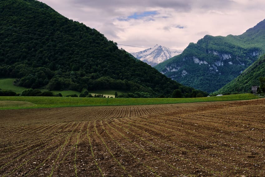 agricultura y paisaje