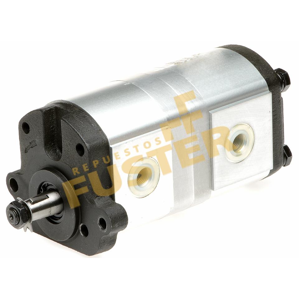 Steering hydraulic pump-6099