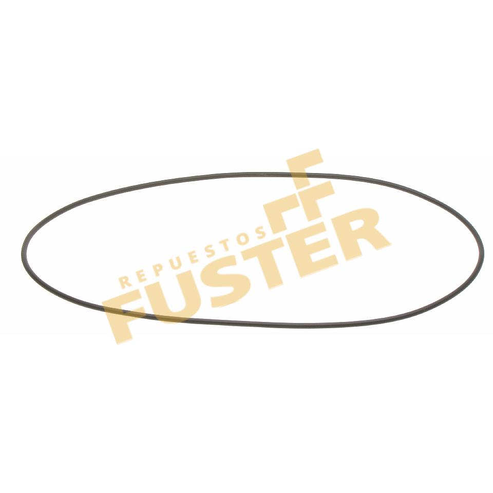 Anillo buje delantero-313950