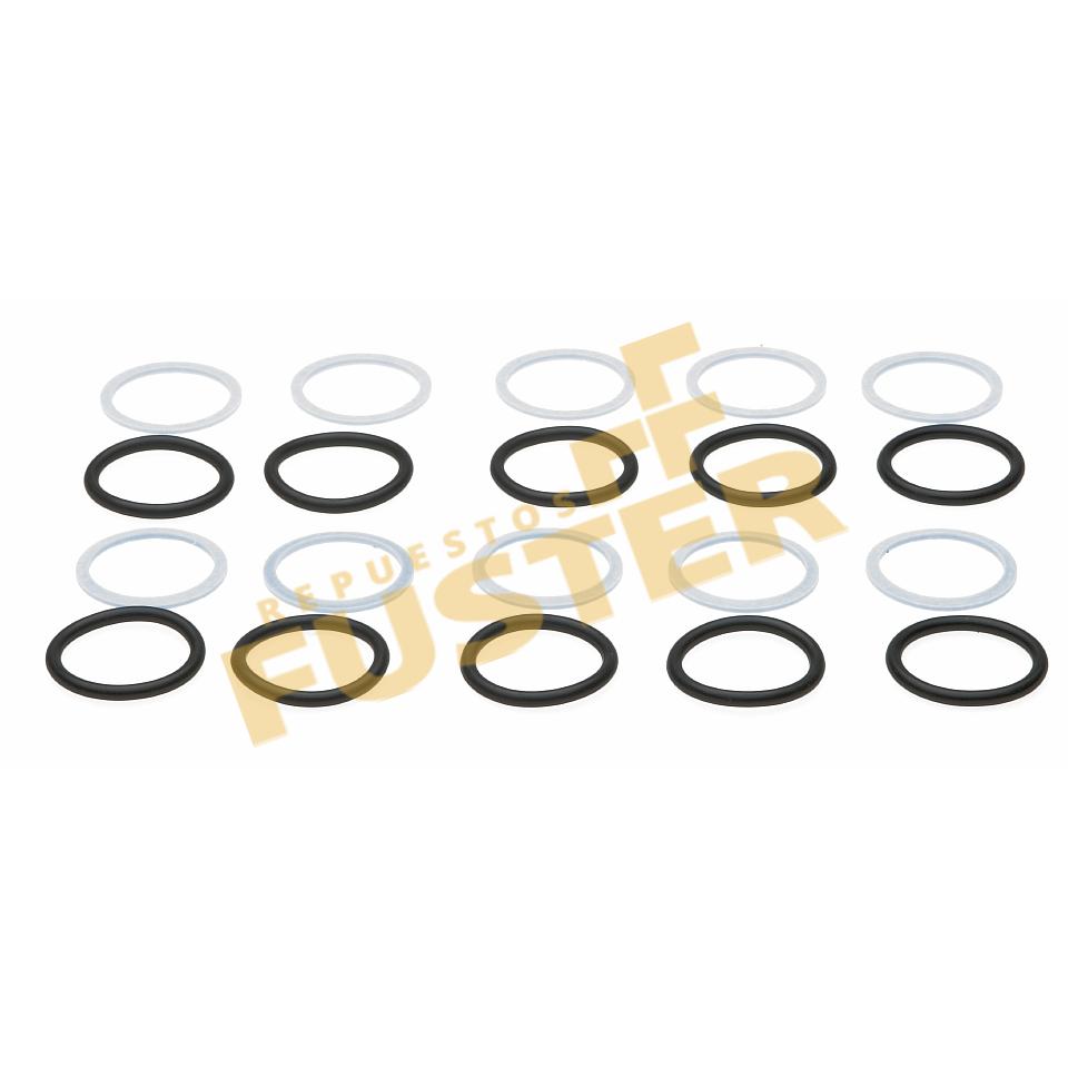 Kit 20 gomas para enchufe hidráulico-316183-G20