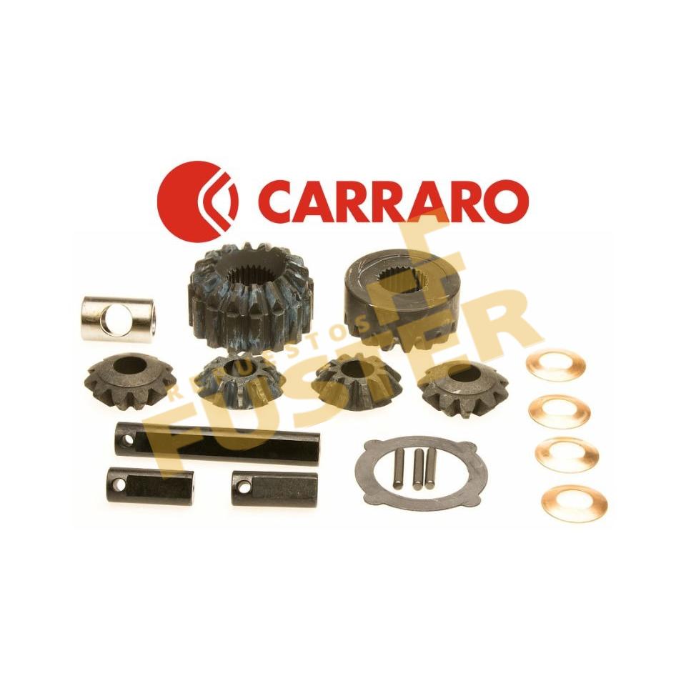 Kit engranajes diferencial -C66377