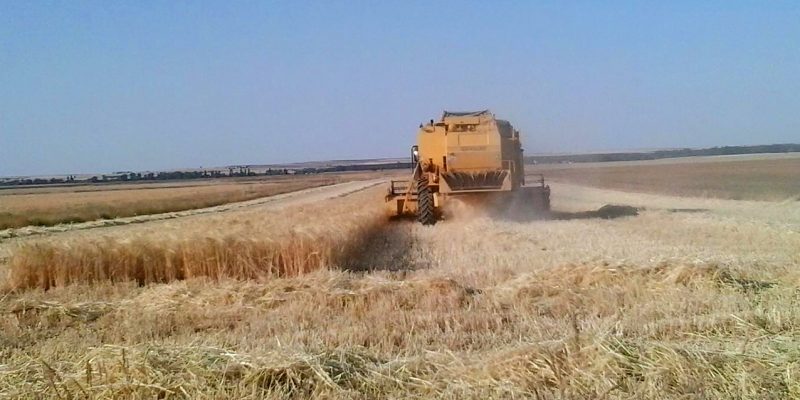 Plan de Seguros Agrarios para 2018