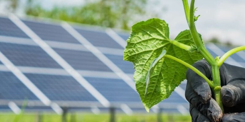 Energías renovables en agricultura