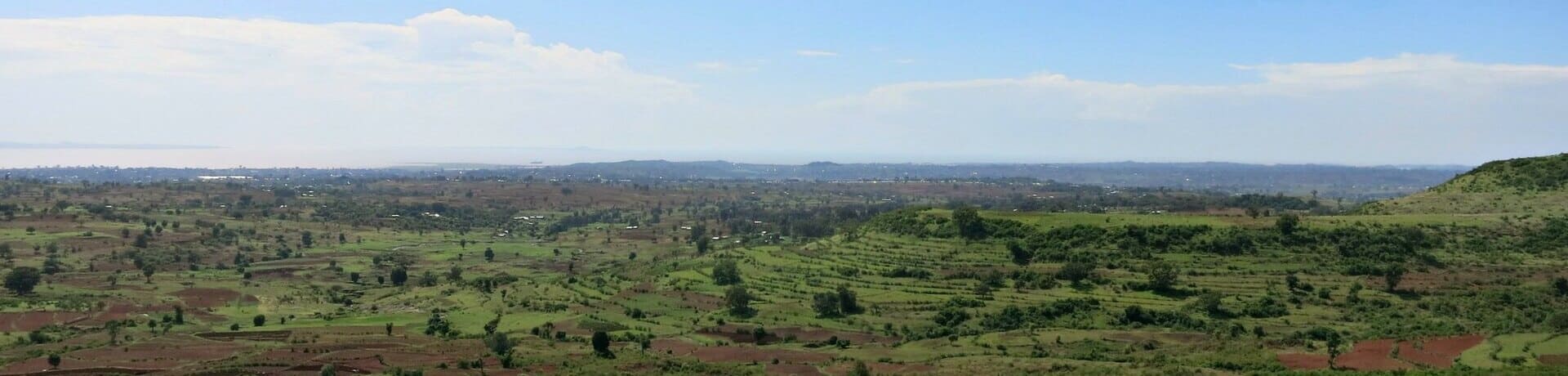 Agroecología