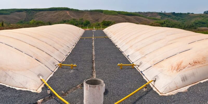 Biodigestores