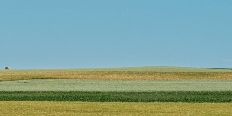 Cultiva 2025
