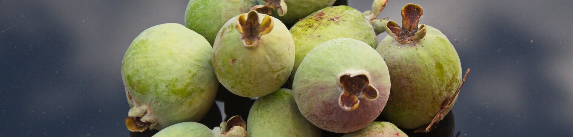 feijoa