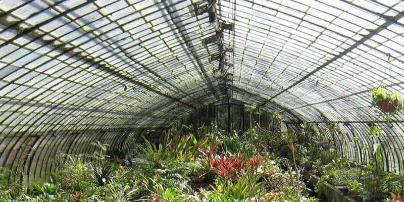invernaderos