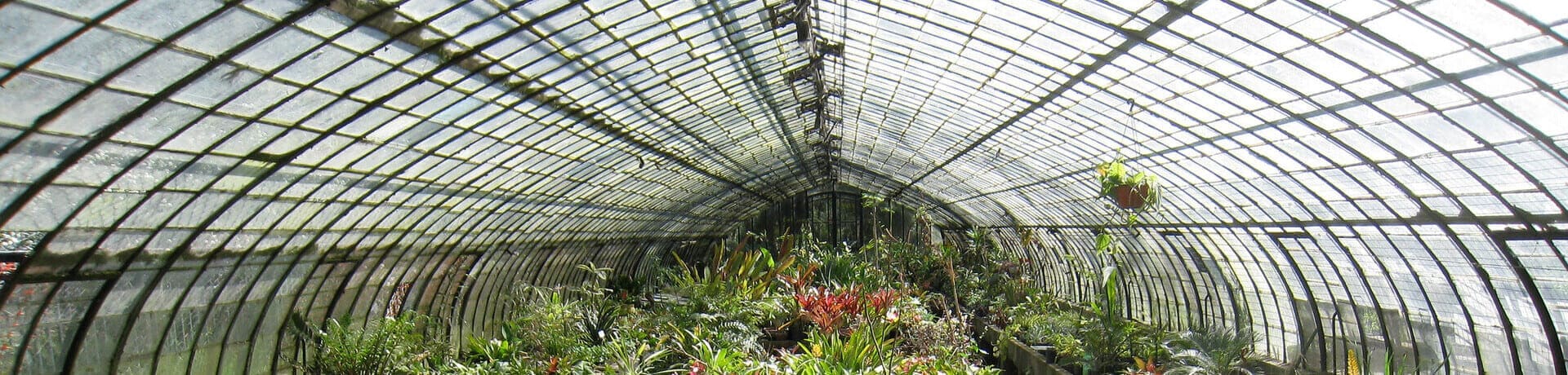 invernaderos