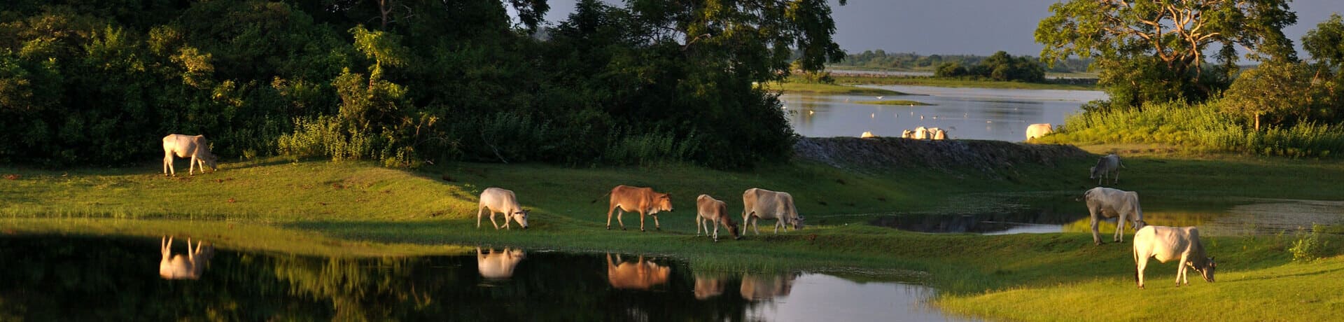 pastoreo responsable