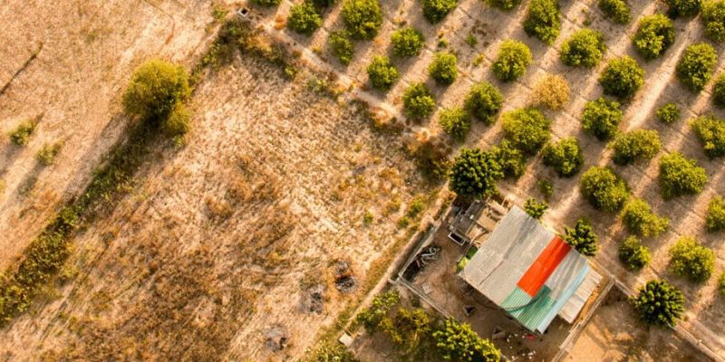 agricultura y paisaje