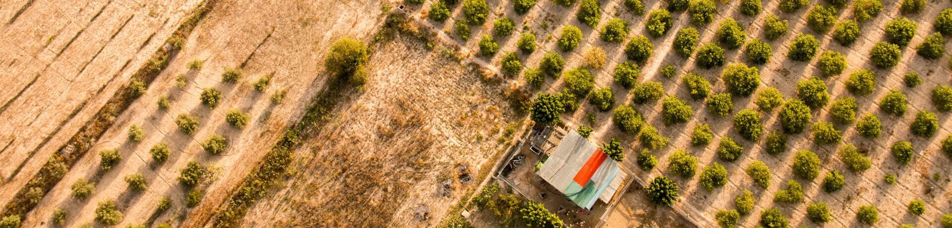 agricultura y paisaje