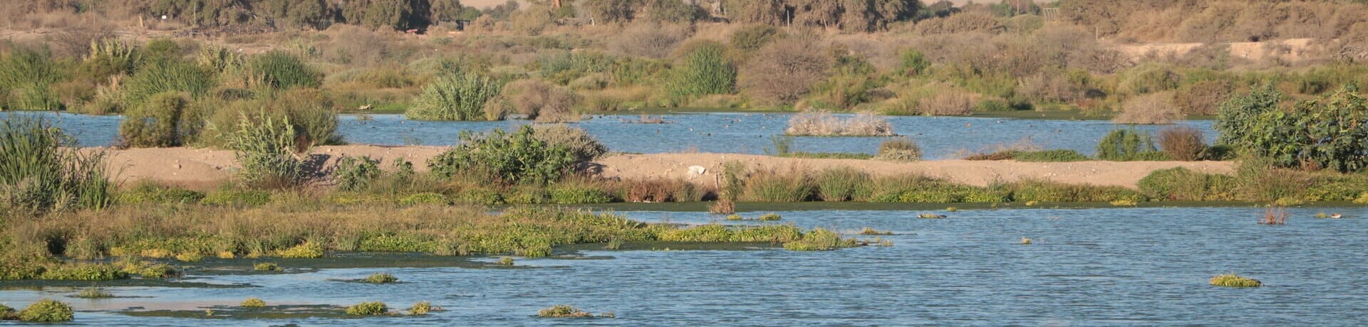 agua subterránea