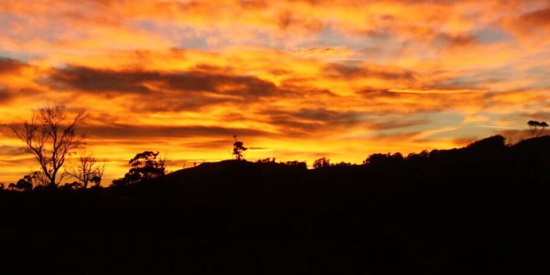paisaje agrícola