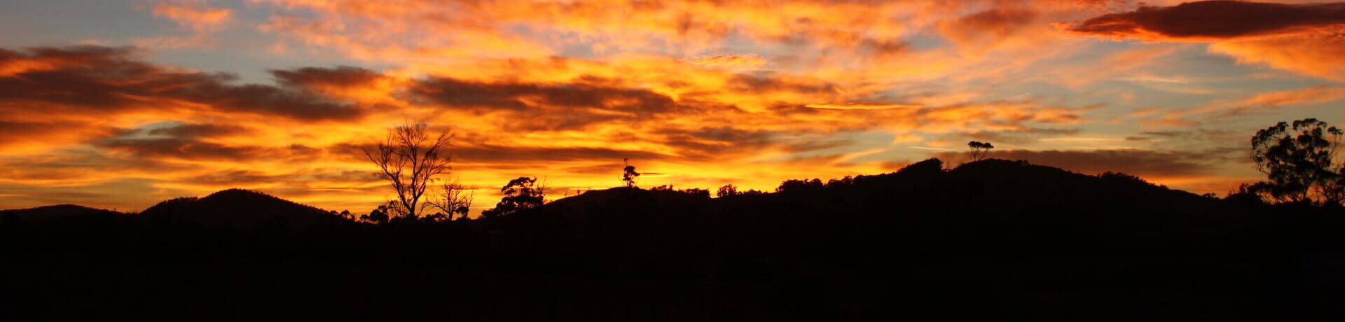paisaje agrícola